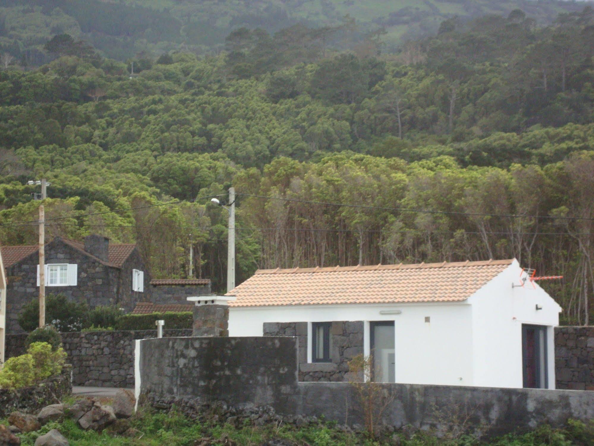 Prainha  Casa Da Poca Branca 빌라 외부 사진